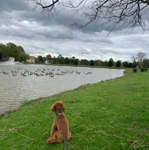 Meet your Posher, 陈